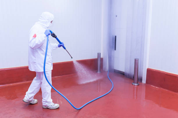 Best House Exterior Washing  in Serenada, TX