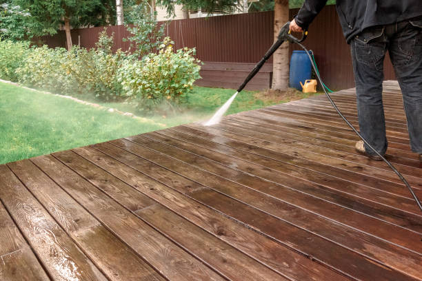 Best Driveway Pressure Washing  in Serenada, TX